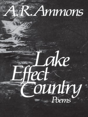 cover image of Lake Effect Country